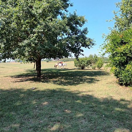 La Carolina appartamento vacanze Tigliole Esterno foto